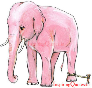 elephant stories in hindi language