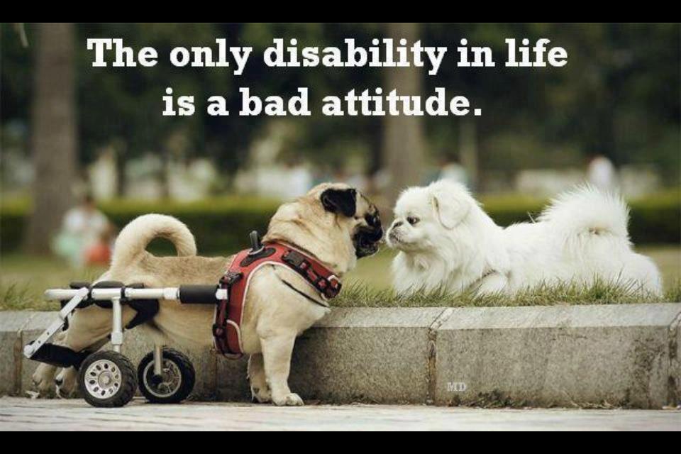 Attitude Quote Picture