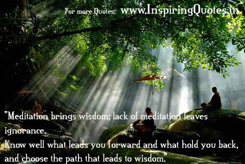 Meditation brings Wisdom Quotes and Thoughts Images Wallpapers Pictures