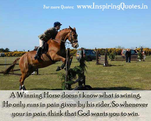 Winning Quotes Thought Images Wallpapers Pictures