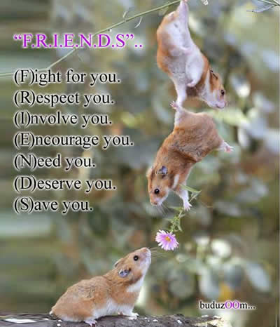 Friendship Inspirational Quotes Picture,  Friends Motivational Thoughts Images, Wallpapers, Photos
