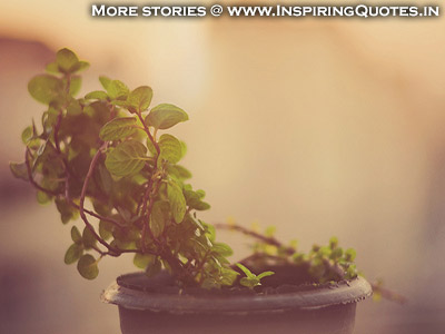 Hindi Inspirational Stories, Motivational Story, Kahani Download, Pictures, Photos, Wallpapers