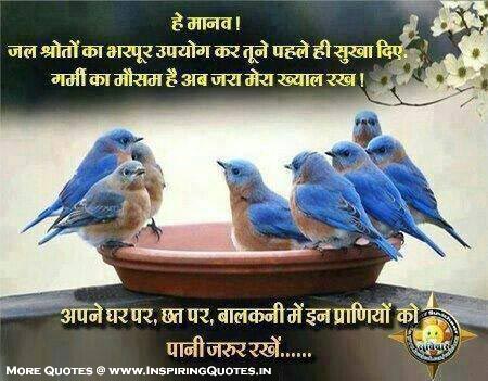 Save Birds, Keep water for them Quotes in Hindi Animal Thoughts, Suvichar,  Anmol Vachan, Sayings, Proverbs Message Pic